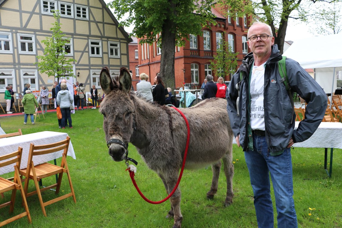 Ein Esel steht auf der Wiese, während eine Person danebensteht.